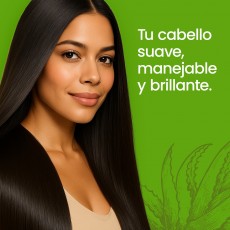 Secundarias