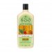 Frontales